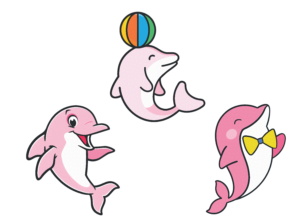 Cognitiva Academy Delfines